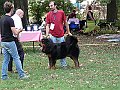 img 058